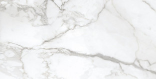Neodom Ambassador Arabescato Glossy 60x120