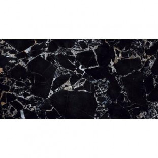 Neodom Ambassador Labrador Nero Glossy 60x120