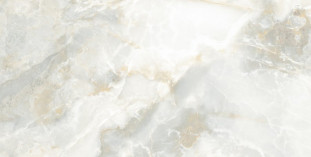 Neodom Ambassador Onix Vetro Glossy 60x120 (CV20212)