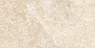 Neodom Ambassador Emperador Beige Glossy 60x120