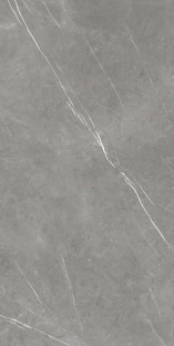 Atlas Concorde Russia Forte dei Marmi Elegant Grey 80x160 Lapp лаппатированный