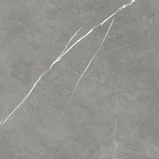 Atlas Concorde Russia Forte dei Marmi Elegant Grey 80x80 Lap лаппатированный