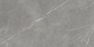Atlas Concorde Russia Forte dei Marmi Elegant Grey Rett 80x160