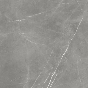 Atlas Concorde Russia Forte dei Marmi Elegant Grey Rett 80x80