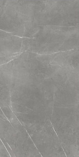 Atlas Concorde Russia Forte dei Marmi Elegant Grey Rett Cer 60x120 сатинированный