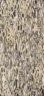 Imola The Room GHEPARD6 12LP 60x120