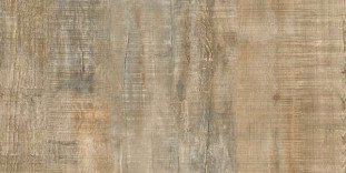 Idalgo Wood Ego Граните Вуд Эго Бежевый SR 120x60
