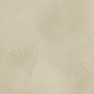 Kerranova Manhattan K-591/CR/600x600x10 сатинированный