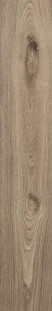 APE Ceramica Koen Naturale 20х120 матовый универсальный