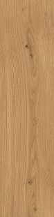 Atlas Concorde Log LASTRA 20MM для уличного применения Forest Amber Oak 20 mm