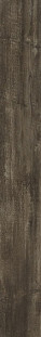 Atlas Concorde Nash Dark Oak 18,5x150