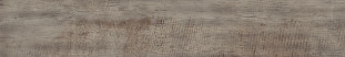 Atlas Concorde Nash Greige Grip 20x120