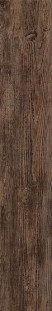 Atlas Concorde Nash Light Brown 20x120