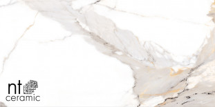 NT Ceramic Bright and Shiny NTT9121P Calacatta Light Grey 60x120