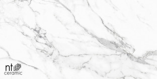 NT Ceramic Bright and Shiny NTT9125M Statuario Infinity 60x120