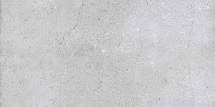 NT Ceramic Rockstar NTTVL99826M New York Matt 60х120