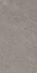 Arcadia Ceramica Equistone RG6002-A Graphite 60х120 Rg серый матовый / рельефный под бетон