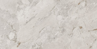 Cerdomus Karnis Керамогранит Silver Levigato 93523, 60х120
