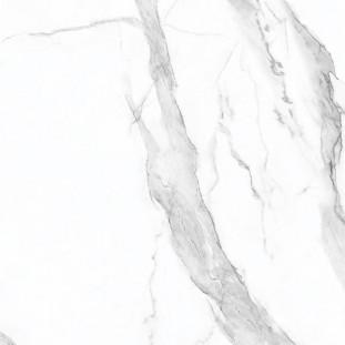 Neodom Sixty Calacatta Classico Satin 60x60