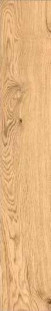 Vitra VividWood Дуб Матовый R10А Рельеф 20x120
