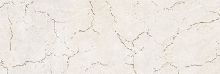 Alma Ceramica Largo Alma  DWU12LRG07R 24,6x74