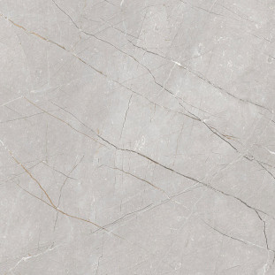 Gravita Larice Grey 60x60