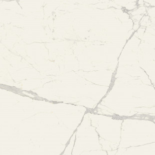 Marazzi Italy Grande Marble Look Statuario M0FN 120x120