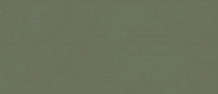 Marazzi Italy Grande Resin Look Verde Scuro Cold Satin 120x278