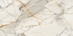 Neodom Massimo Breccia Polished 80x160