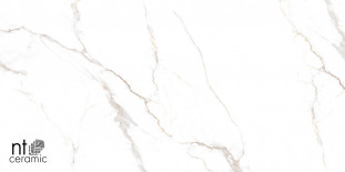 NT Ceramic Bright and Shiny Barbara White NTT9122M 60x120