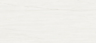 Atlas Concorde Marvel Stone Marvel Bianco Dolomite (50x120)