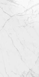 Atlas Concorde Marvel Pro Marvel Calacatta Extra Lappato 120x240