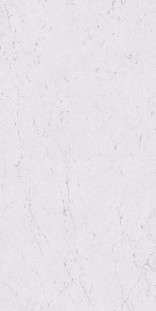 Atlas Concorde Marvel Stone Плитка Marvel Carrara Pure Lappato (60x120)