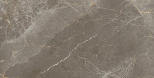 Atlas Concorde Russia Allure настенная Grey Beauty 40x80