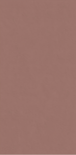 ABK Wide and Style Mini 2 Плитка настенная Wide And Style Mini Vol2 Paprika Ret 60х120