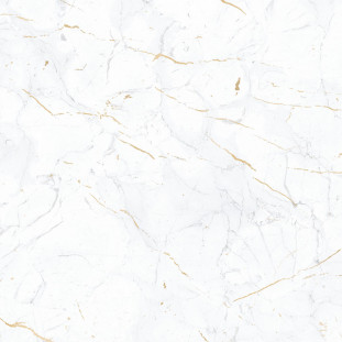 Alma Ceramica Florian TFU04FLN000 610х610*9