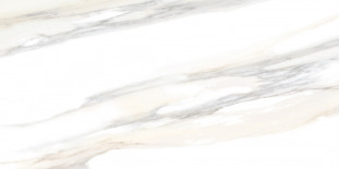 Alma Ceramica Corsica TWU09CRS004 24,9х50