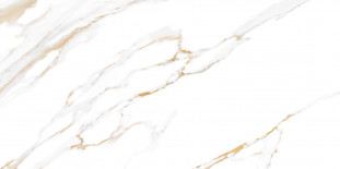 Alma Ceramica Dublin TWU09DBL004  249х500*7.5
