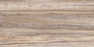 Alma Ceramica Dublin TWU09DBL404 249х500*7.5