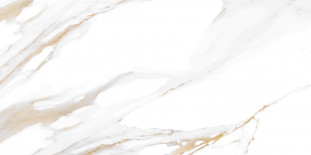 Alma Ceramica Dakota TWU09DKT004  24,9х50
