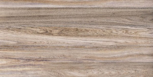 Alma Ceramica Lea TWU09WOD404 Wood 24,9х50