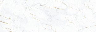 Alma Ceramica Florian TWU12FLN00R 246х740*10