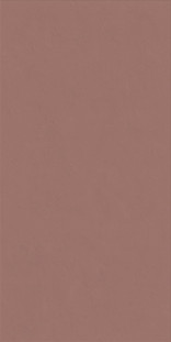 ABK Wide and Style Mini Paprika Ret. 60x120