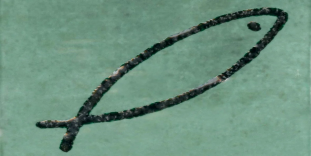 ABK Poetry Colors Dec. Swim Sage 7.5x15