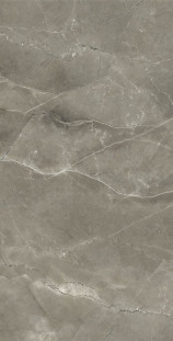 Arcadia Ceramica Nero Pulpis  60х120 Cr carving