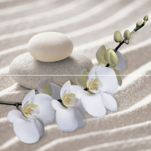 Alma Ceramica Relax PWU09RLX1 панно из 2 плиток 49.8х50 (4 к-та в коробке)