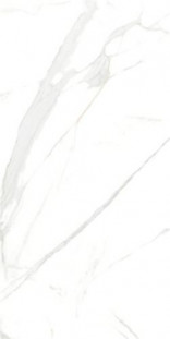 Yurtbay Royal Marble WHITE PLSH RC.POR.TL (P15006.6) 60х120