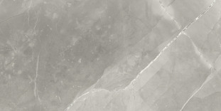 Neodom Sale 60x120 Fior di Bosco Polished 60x120