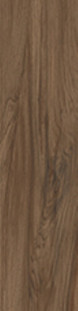 Cerdomus Savanna Cinnamon 20x100