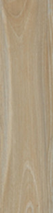 Cerdomus Savanna Honey 10x100